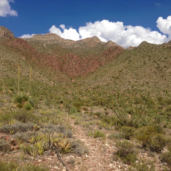 Meet your Posher, Norma - Picture 6 of 6